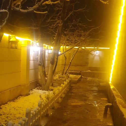 عکس رومنس گاردن