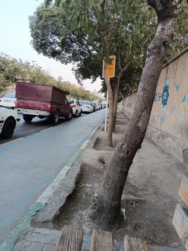 عکس  مجلسی 6