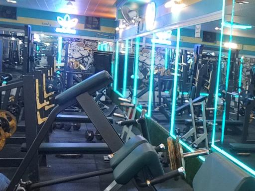 عکس باشگاه بدن سازی تندیس طلایی 