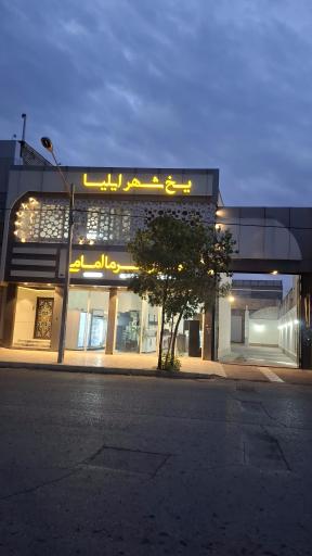 عکس شهر یخچال فریزر تهران سرما امامی