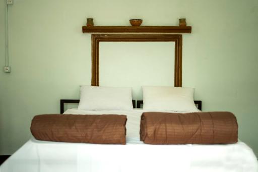 عکس بومگردی کاراکال