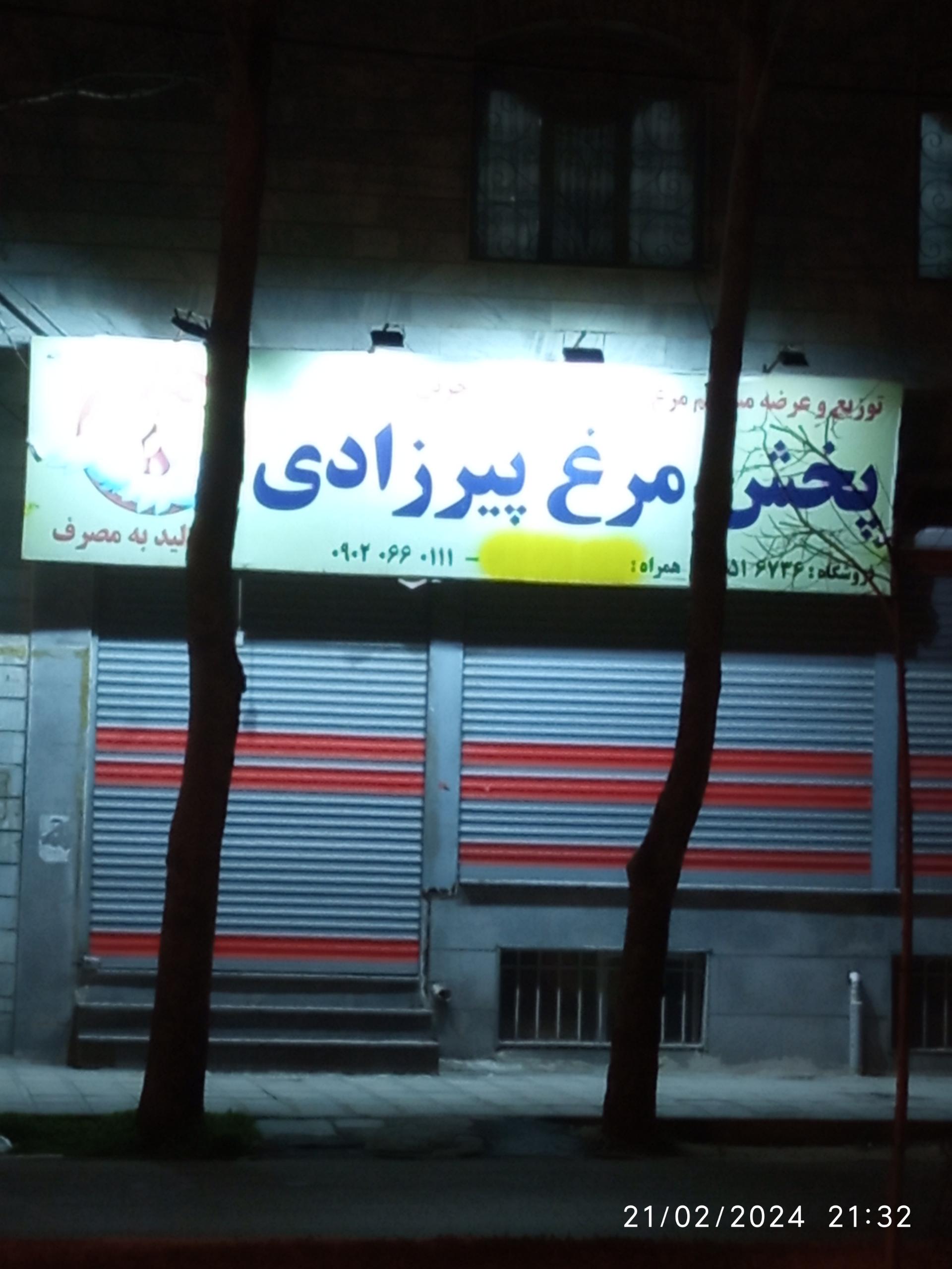 عکس پخش مرغ پیرزادی 