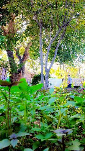 عکس کمپ آسمان آبی 