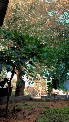 کمپ آسمان آبی 