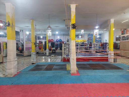 عکس باشگاه ورزشی تکواندو 