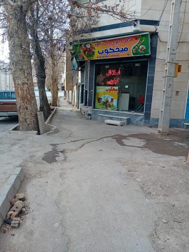 عکس فلافل کیلویی و فست فود میخکوب