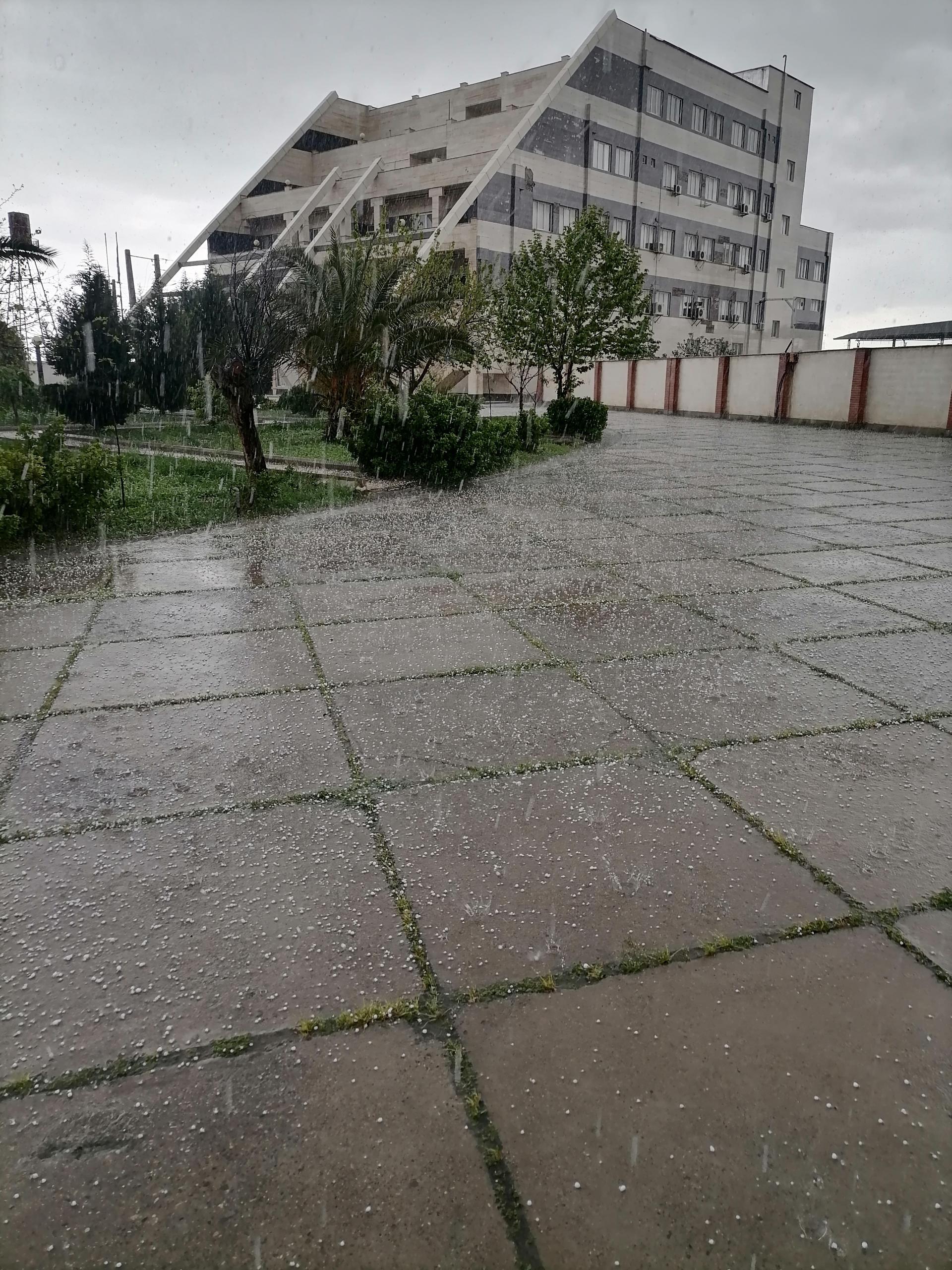 عکس موسسه آموزشی عالی شرق گلستان