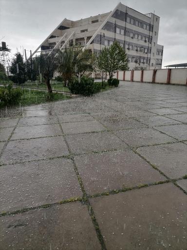 عکس موسسه آموزشی عالی شرق گلستان
