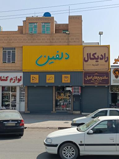 عکس پیتزا دلفین