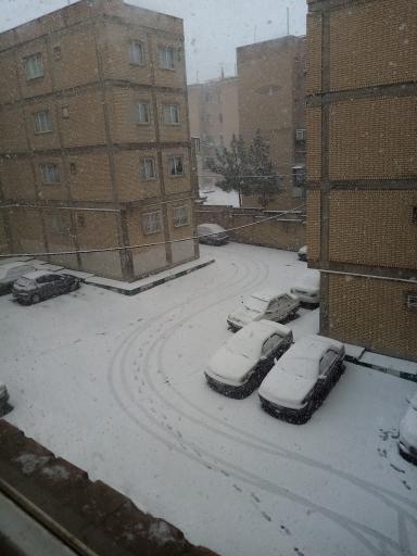 عکس مجتمع گل زهره