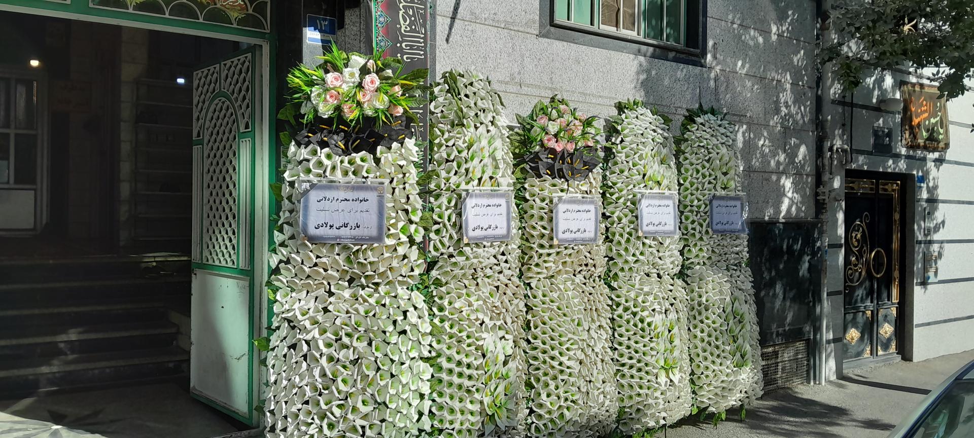 عکس نیکو گل احسان