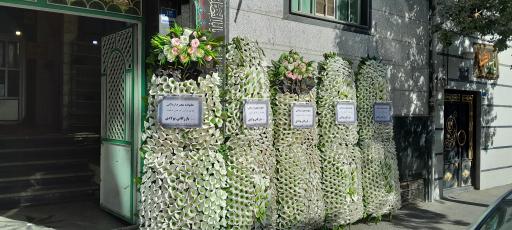 عکس نیکو گل احسان