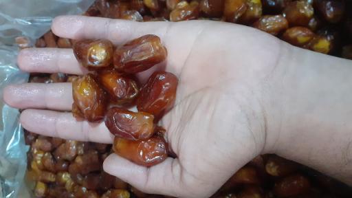 عکس انبار بسته بندی خرما باقرزاده