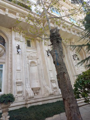 عکس مجتمع بهار