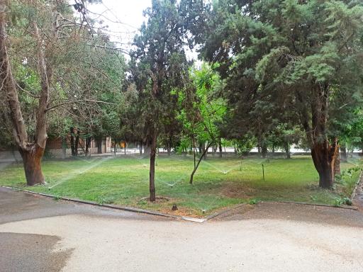 مجتمع خوابگاهی کوی دانشگاه تهران