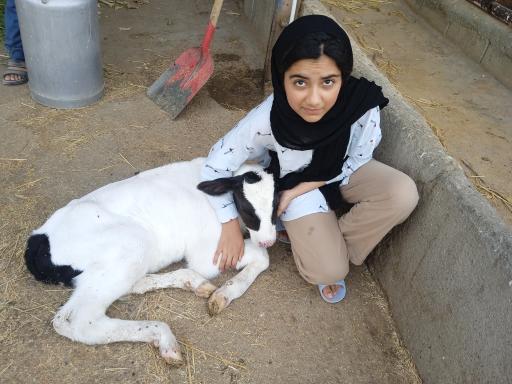 مزرعه خوش بیان