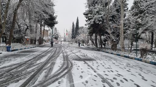 عکس مجتمع خوابگاهی کوی دانشگاه تهران