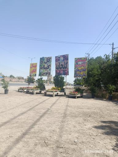 عکس گل وگیاه ونوس 