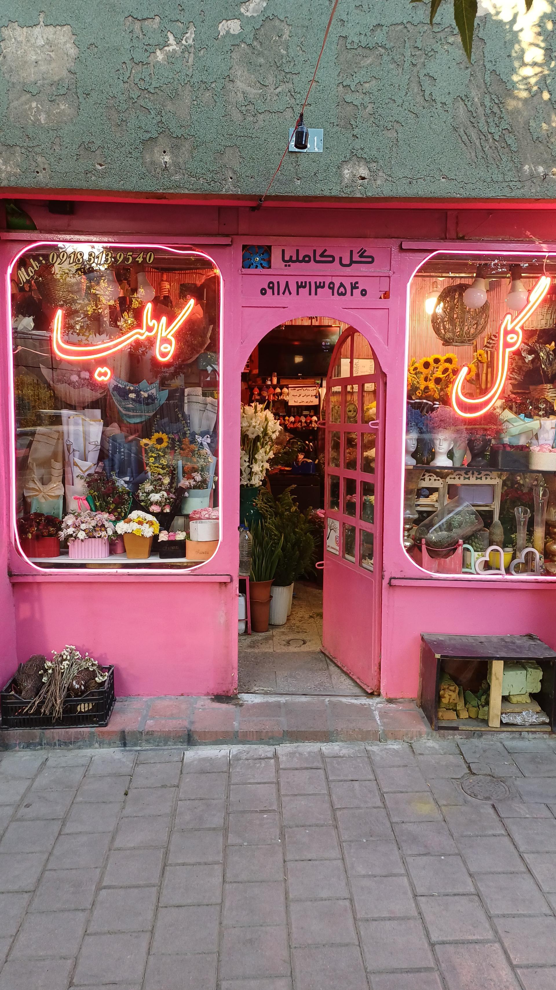 عکس گل فروشی کاملیا