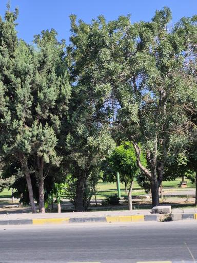عکس پارک طبیعت