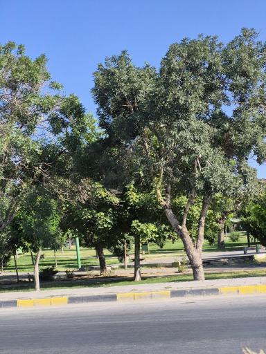 عکس پارک طبیعت