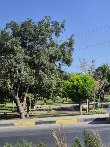 عکس پارک طبیعت