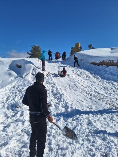 عکس پارک جنگلی دو برار