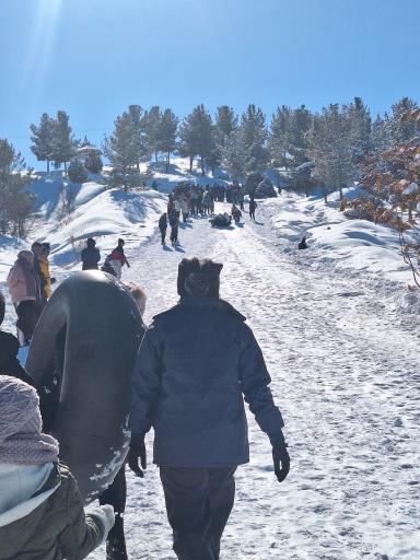 عکس پارک جنگلی دو برار