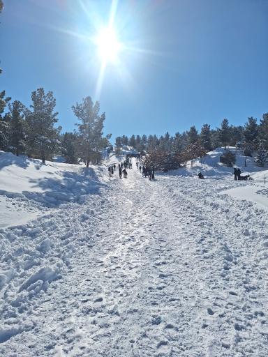 عکس پارک جنگلی دو برار