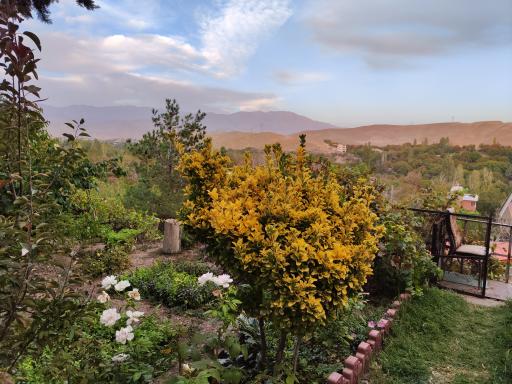 عکس مراء