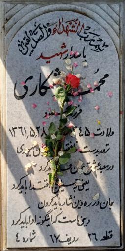 عکس مزار شهید علی شکری