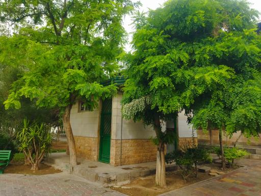 عکس سرویس بهداشتی