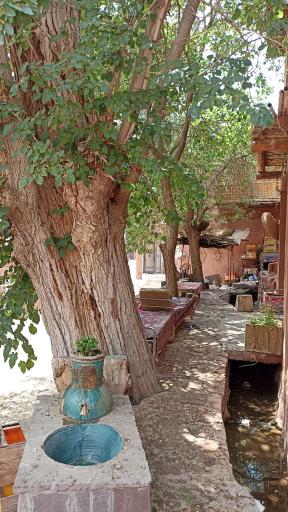 عکس کافه سوغات اریا