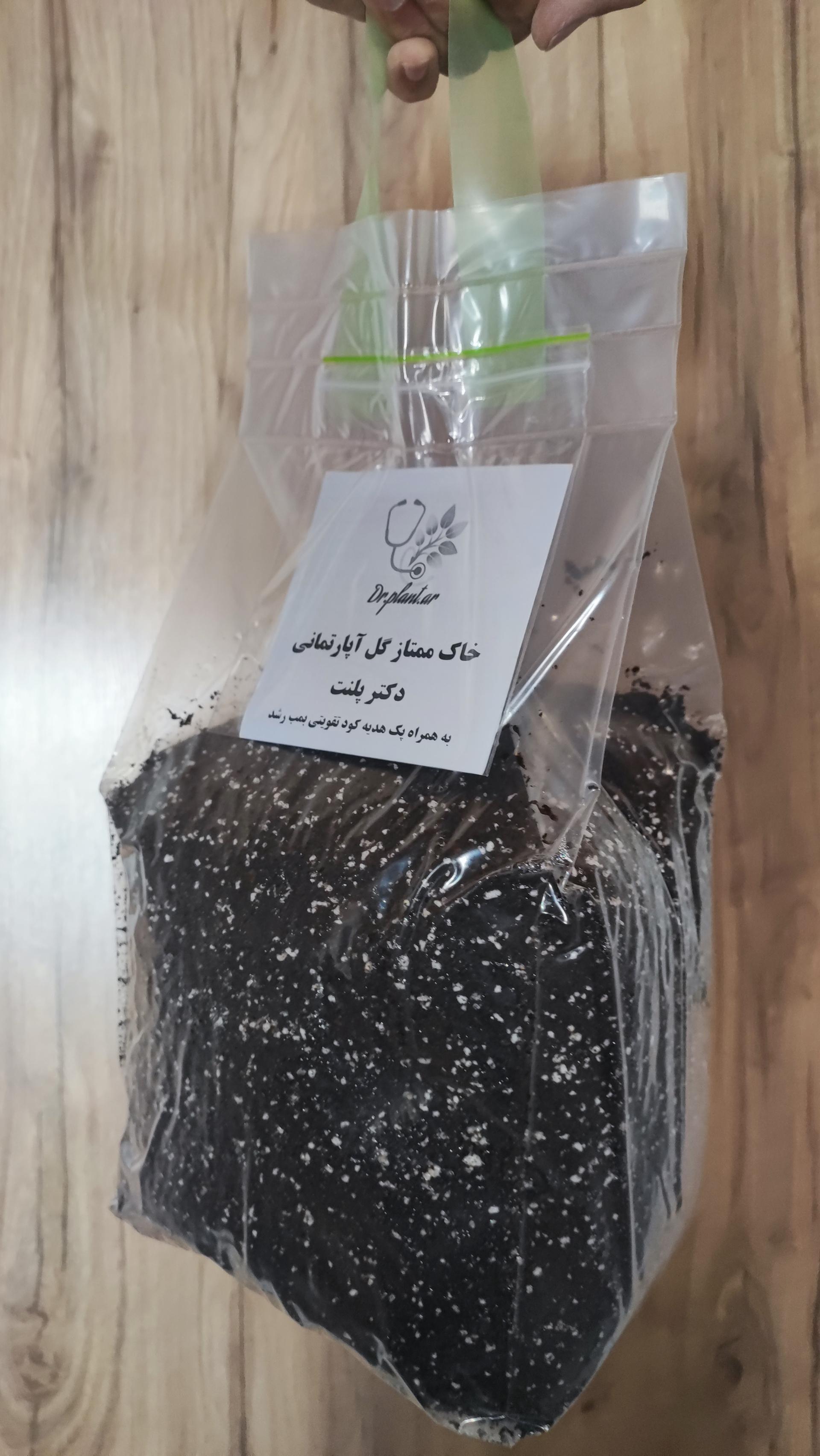 عکس دکتر پلنت