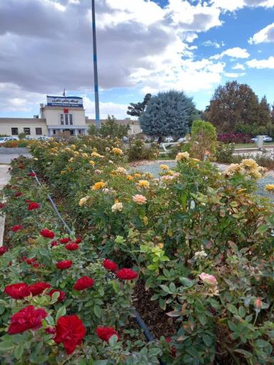 عکس ایستگاه راه آهن شاهرود