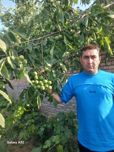 عکس نهالستان نهال مهر مهندس محمدی