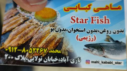 عکس ماهی پزی