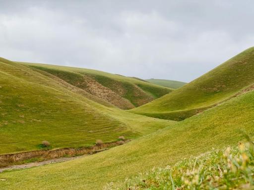 عکس شیلگان درگز