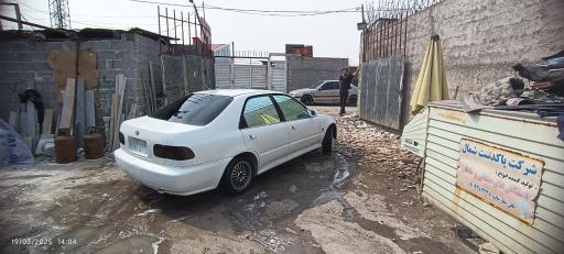 عکس صافکاری میلاد 