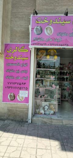 عکس گالری سیندخت