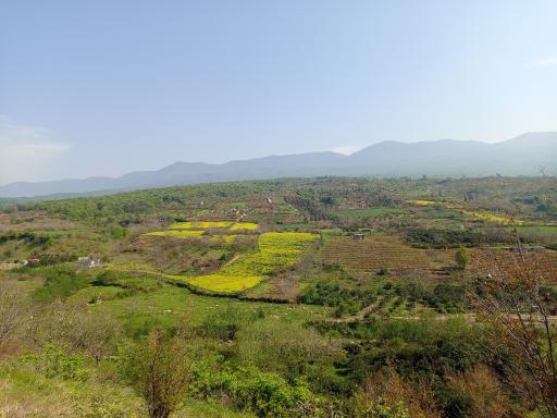 عکس خلیل شهر
