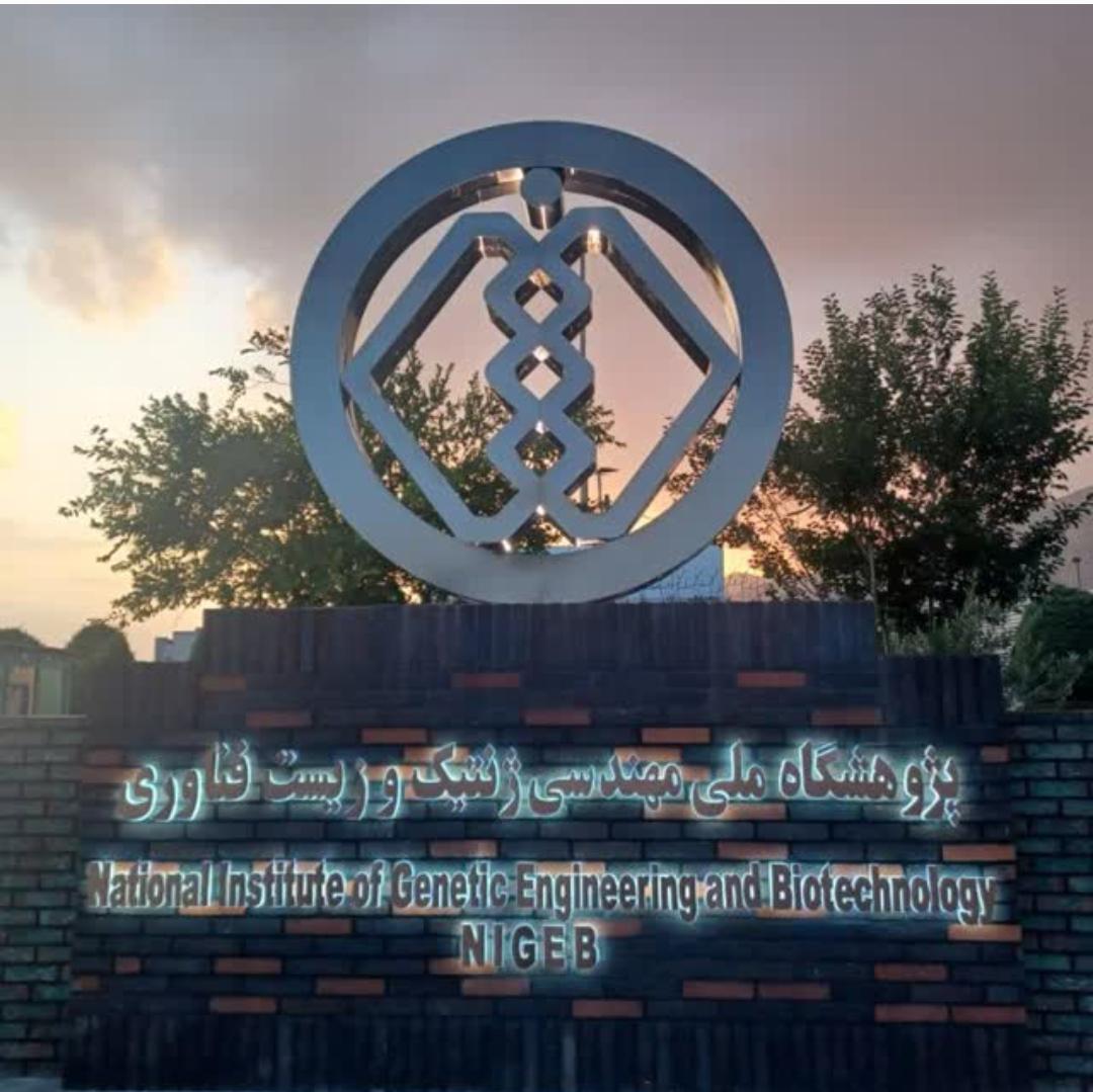 عکس  پژوهشگاه ملی مهندسی ژنتیک و زیست فن آوری