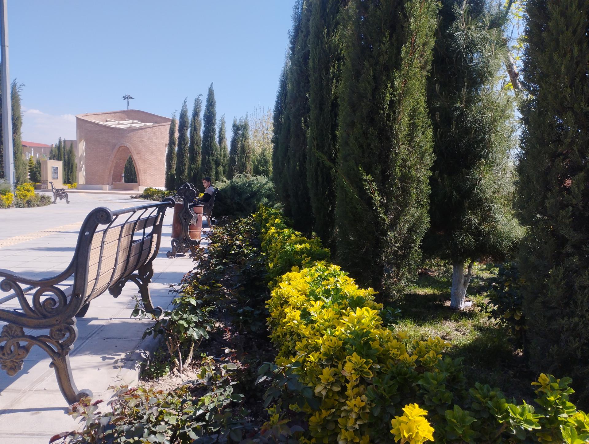 عکس بوستان لاله ها