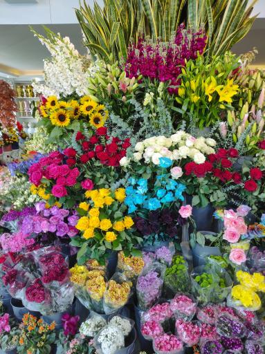 عکس گلسرای دشت بهشت