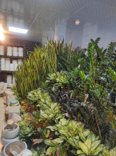 عکس گلسرای دشت بهشت