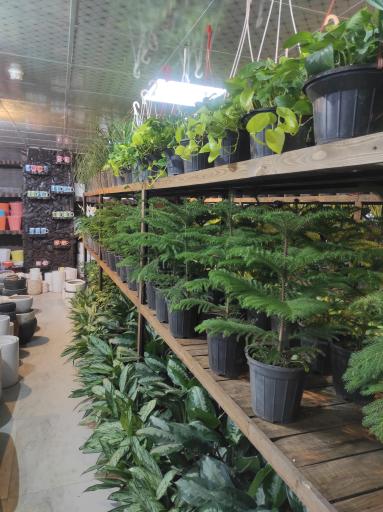 عکس گلسرای دشت بهشت