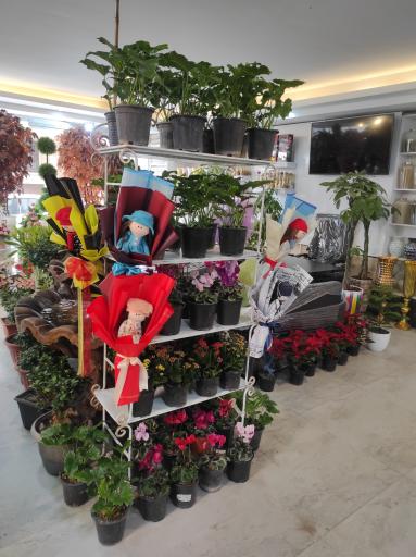 عکس گلسرای دشت بهشت