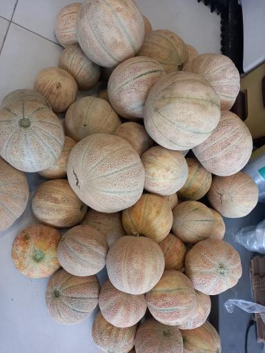 عکس آبمیوه استوایی کافستوا