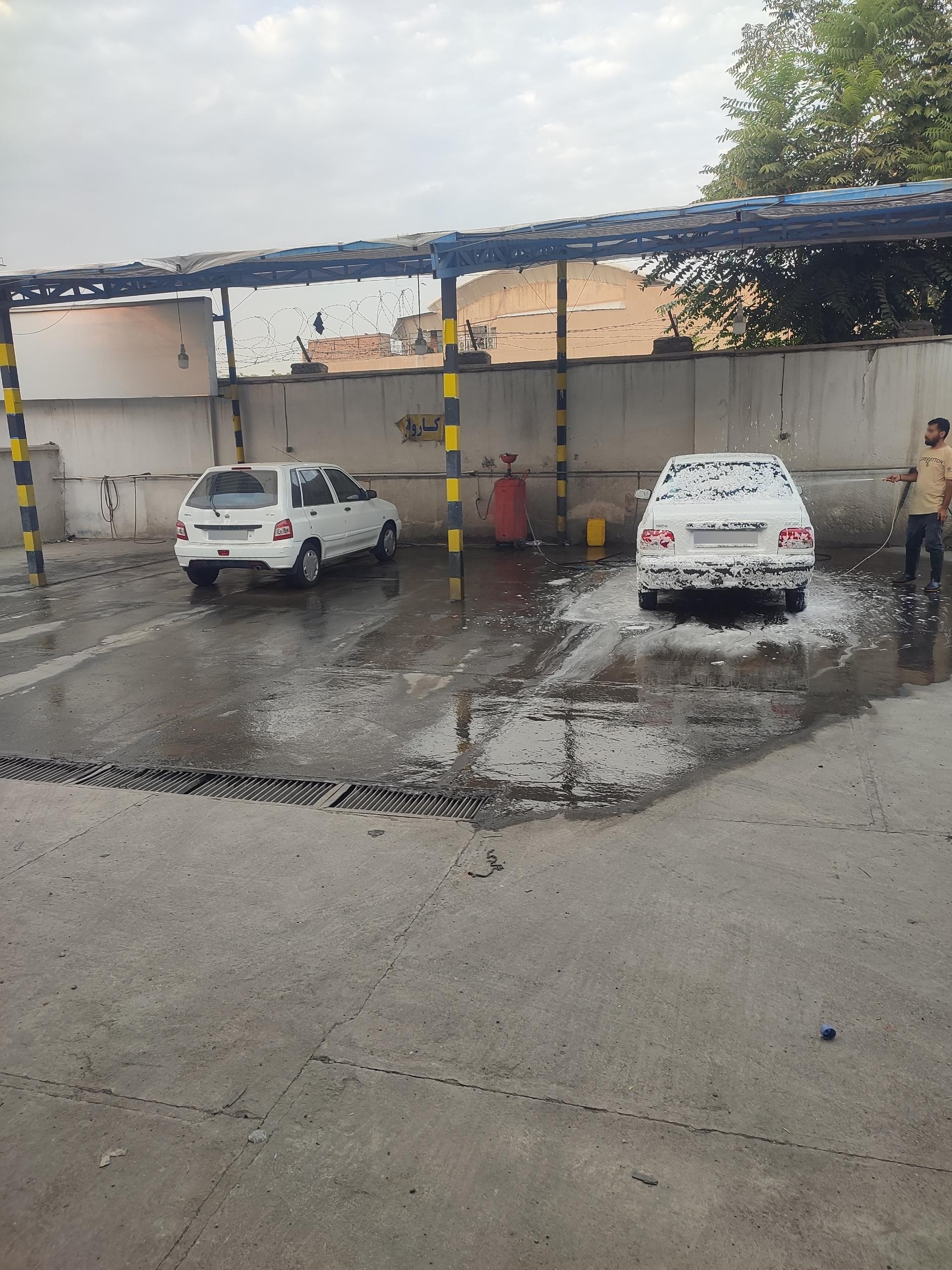 عکس کارواش شاهان 