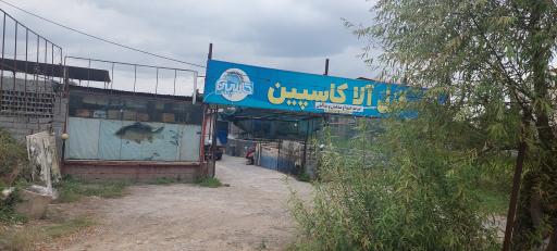 عکس فروشگاه ماهی قزل آلا